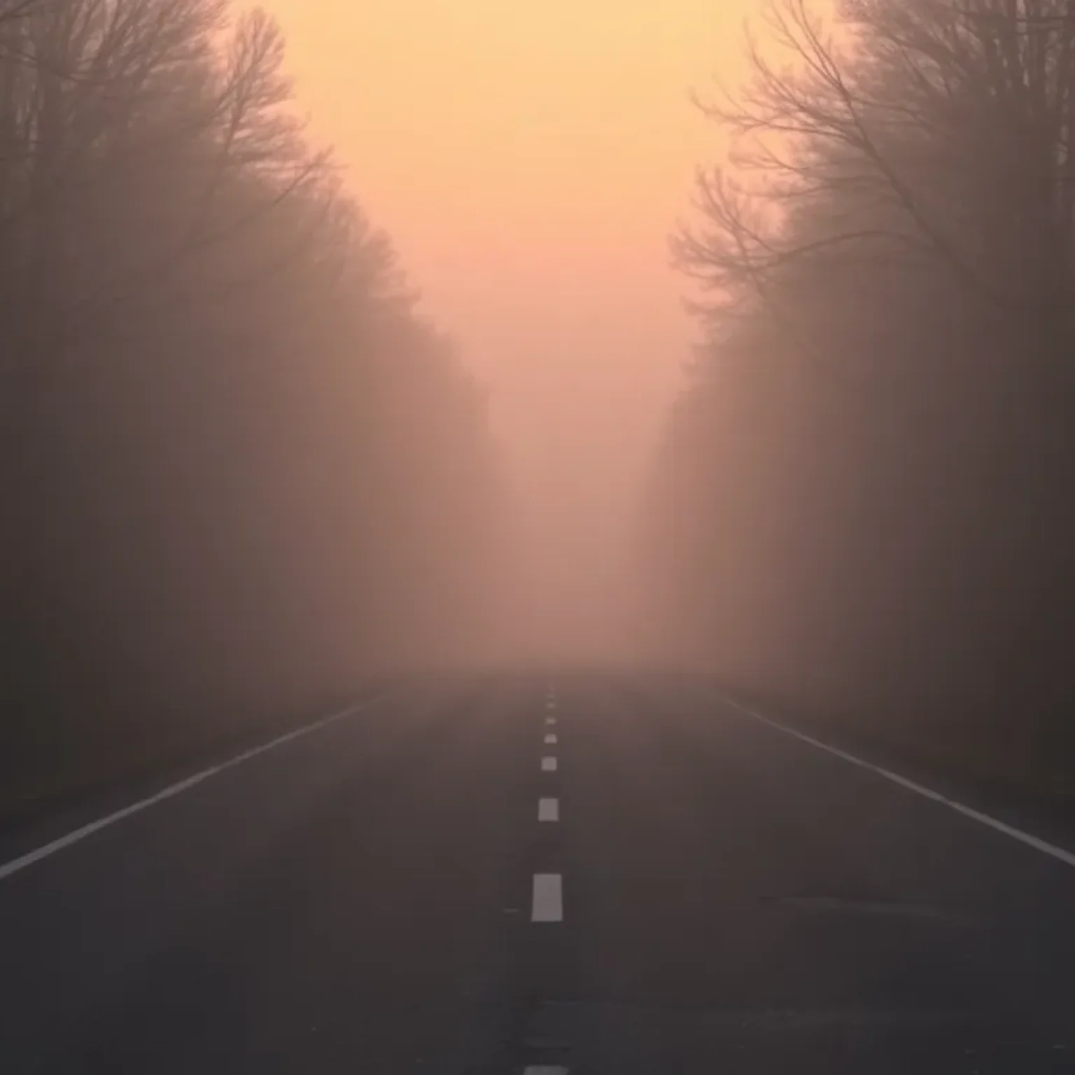 Empty road at dawn reflecting a serious accident mood.