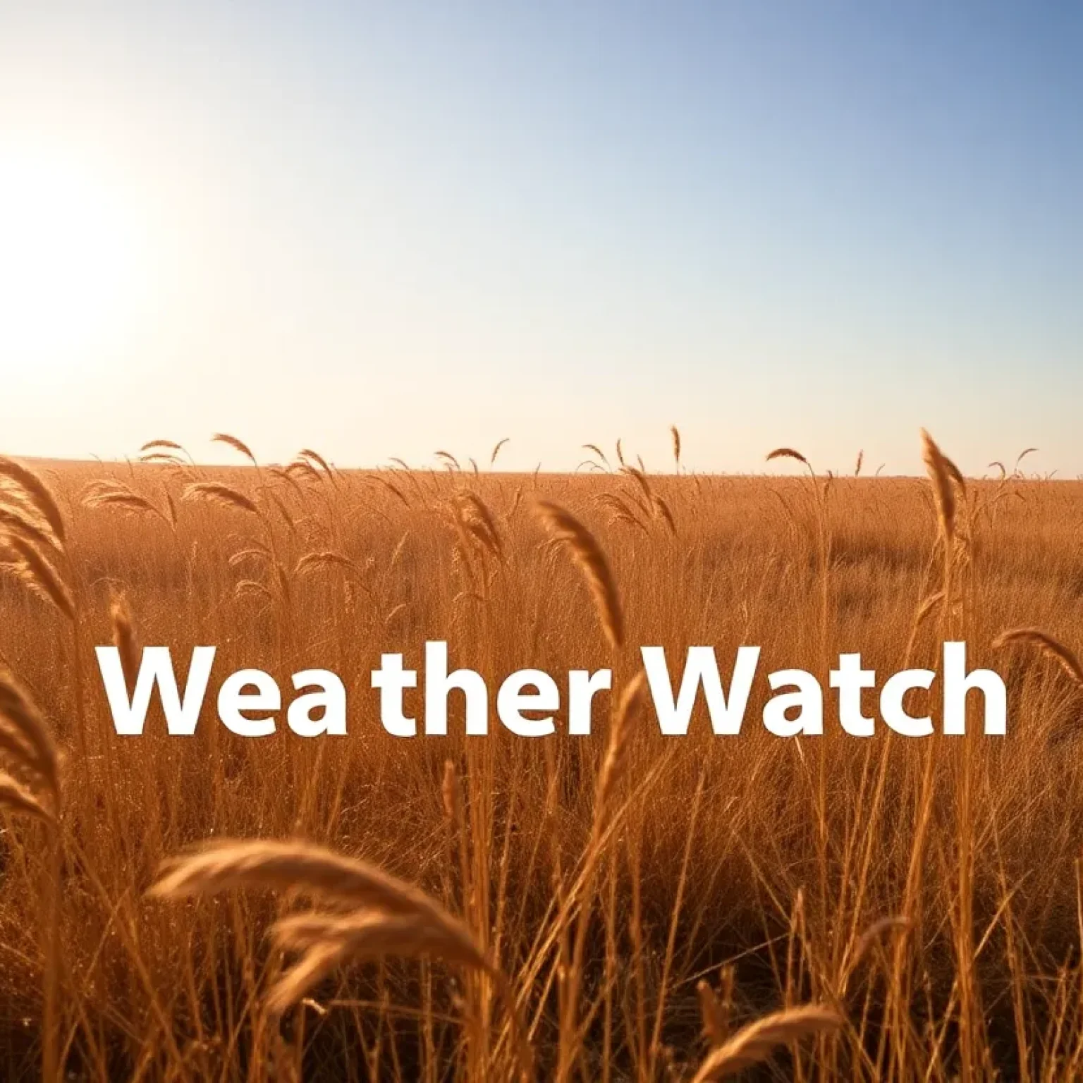 Dry grasslands with strong winds under a sunny sky, Fire Weather Watch background.