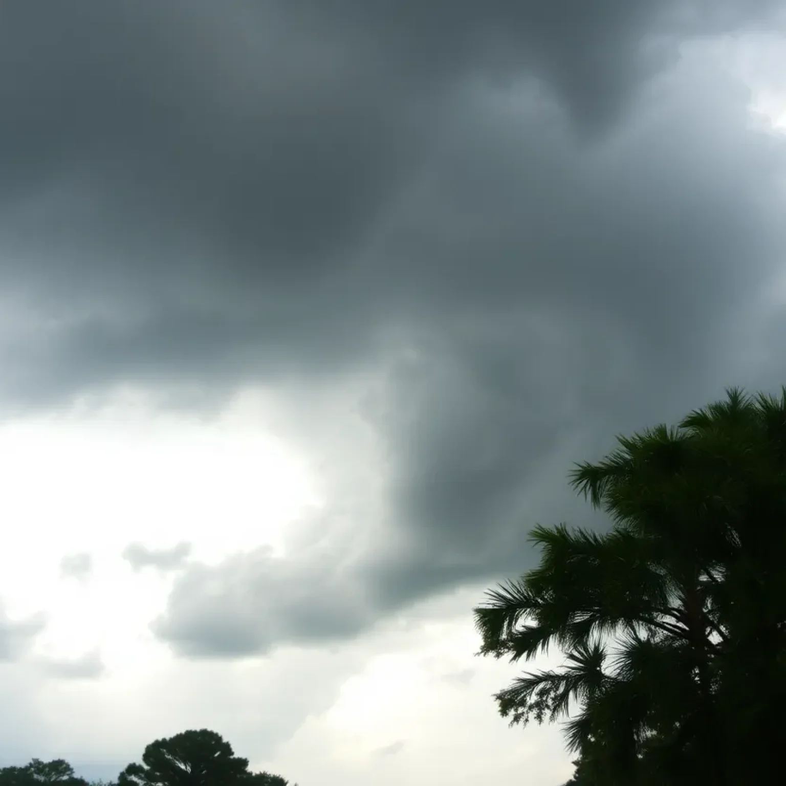 Dark clouds and heavy rain in South Carolina signifying severe weather.